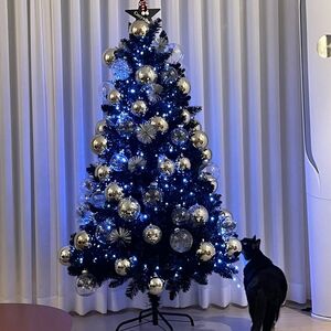 커튼 앞 블랙트리와 고양이